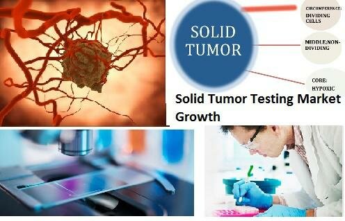 Solid Tumor Testing Market