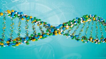 DNA and gene chips Market 2019 Emerging Technologies, Revenue, Manufacturers, market growth by top players Perkin Elmer, Inc., Illumina, Thermo Fisher Scientific, Macrogen, Agilent Technologies.