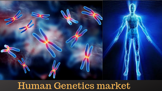 Human Genetics market Research Reports to Set Phenomenal Growth from 2019-2025 by top players Agilent Technologies, Bode Technology, GE Healthcare, Illumina, LGC Forensics, Orchid Cell mark, Inc., Promega Corporation