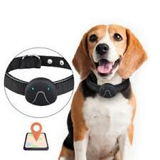Smart Dog Tracker Market is Anticipated to Raise by 2019-2025 | Top Manufacturers are rmin, Whistle (Tagg), FitBark, Petsafe, Tractive