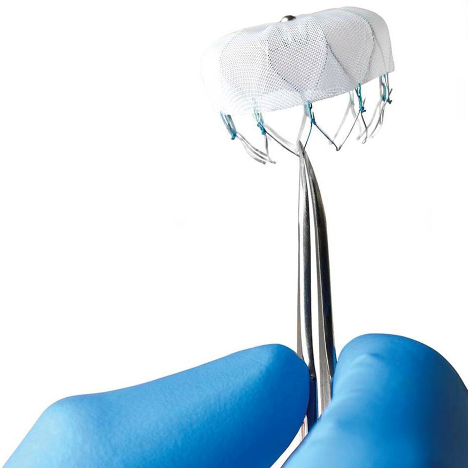 Structural Heart Closure Devices Market 2019-2025 Exclusive Growth with CAGR of +10% by Leading Key Players: Boston Scientific Corporation, Medtronic, Edwards Lifesciences Corporation